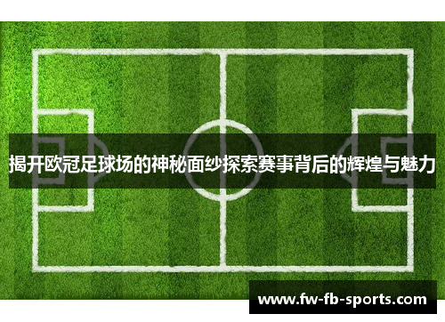 揭开欧冠足球场的神秘面纱探索赛事背后的辉煌与魅力