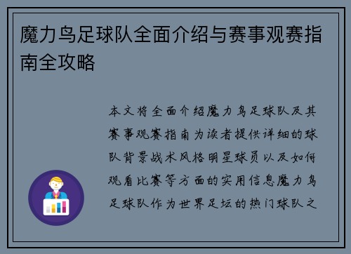 魔力鸟足球队全面介绍与赛事观赛指南全攻略